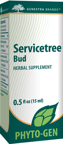 Servicetree Bud - 0.5 fl oz By Genestra Brands