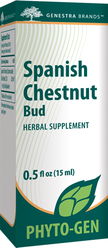 Spanish Chestnut Bud - 0.5 fl oz By Genestra Brands