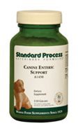 Canine Enteric Support by Standard Process 110 grams