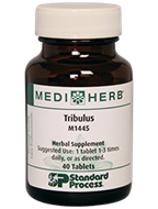 Tribulus by MediHerb 40 Tablets