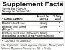 UT Defense 30 Count by Ortho Molecular