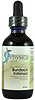 Burdock Intrinsic by Physica Energetics  2 oz (60 ml)