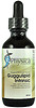 Guggulipid Intrinsic by Physica Energetics  2 oz (60 ml)