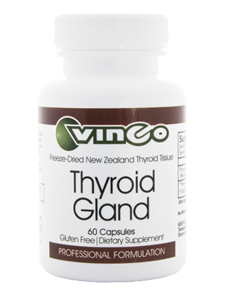 Thyroid Gland by Vinco