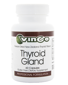 Thyroid Gland by Vinco