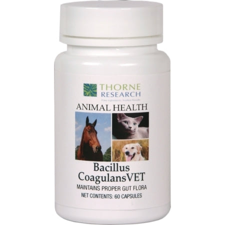 Bacillus CoagulansVET - 60 Count By Thorne Research