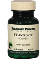 VF Antronex for Pets by Standard Process 90 tablets (Best By Date: November 2018)